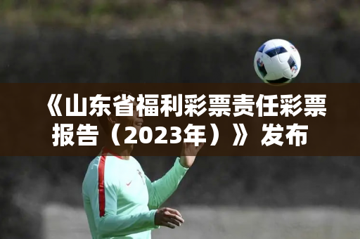 《山东省福利彩票责任彩票报告（2023年）》 发布